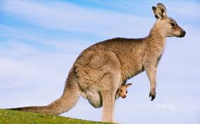 Australia
