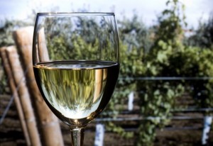 los_angeles_wine_tour_giftioni