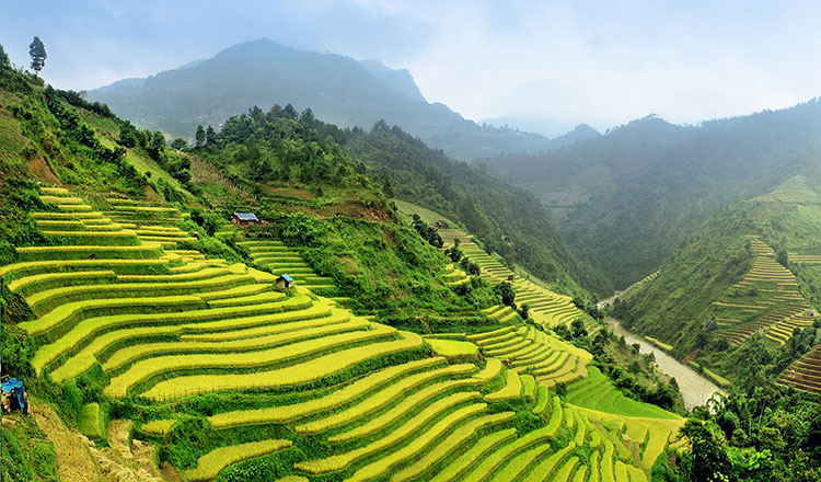 vietnam1