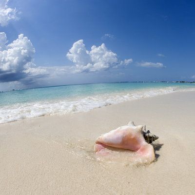Vacation Time